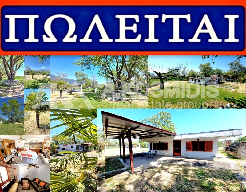 property-img